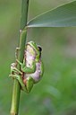 BUITEN BEELD Foto: 10772