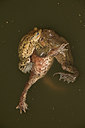 BUITEN BEELD Foto: 10816