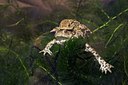 BUITEN BEELD Foto: 10833