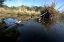 BUITEN BEELD Foto: 10846