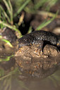 BUITEN BEELD Foto: 10873