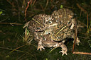 BUITEN BEELD Foto: 10934