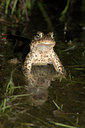 BUITEN BEELD Foto: 10938