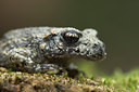 BUITEN BEELD Foto: 10954