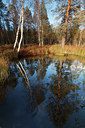BUITEN BEELD Foto: 109109
