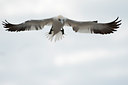 BUITEN BEELD Foto: 109145