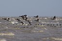 BUITEN BEELD Foto: 109183