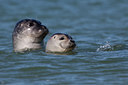 BUITEN BEELD Foto: 109194