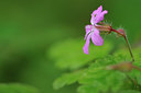 BUITEN BEELD Foto: 109202