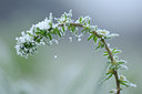 BUITEN BEELD Foto: 109308