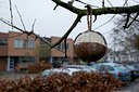 BUITEN BEELD Foto: 109342