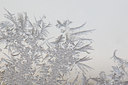 BUITEN BEELD Foto: 109504