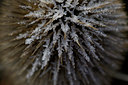 BUITEN BEELD Foto: 109505