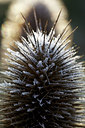 BUITEN BEELD Foto: 109506