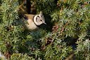 BUITEN BEELD Foto: 109550
