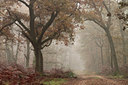 BUITEN BEELD Foto: 109569