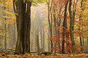 BUITEN BEELD Foto: 109599