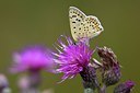 BUITEN BEELD Foto: 109608