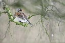 BUITEN BEELD Foto: 109631