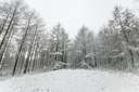 BUITEN BEELD Foto: 109641