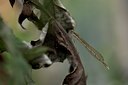 BUITEN BEELD Foto: 109677