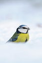 BUITEN BEELD Foto: 109758