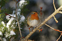 BUITEN BEELD Foto: 109802