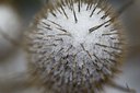 BUITEN BEELD Foto: 109803