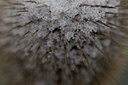 BUITEN BEELD Foto: 109806
