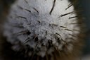 BUITEN BEELD Foto: 109819