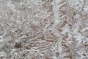 BUITEN BEELD Foto: 109825