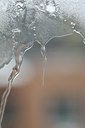BUITEN BEELD Foto: 109827