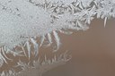 BUITEN BEELD Foto: 109832