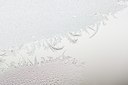BUITEN BEELD Foto: 109835