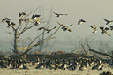 BUITEN BEELD Foto: 109889