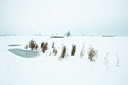BUITEN BEELD Foto: 109935