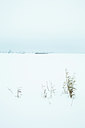 BUITEN BEELD Foto: 109936