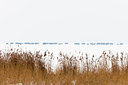 BUITEN BEELD Foto: 109952
