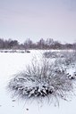BUITEN BEELD Foto: 109969