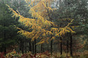 BUITEN BEELD Foto: 109984
