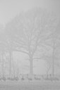 BUITEN BEELD Foto: 109994