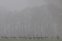 BUITEN BEELD Foto: 109995