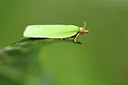 BUITEN BEELD Foto: 110013