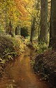 BUITEN BEELD Foto: 110028
