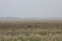 BUITEN BEELD Foto: 110143