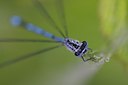 BUITEN BEELD Foto: 110172