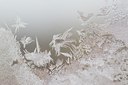 BUITEN BEELD Foto: 110202