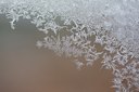 BUITEN BEELD Foto: 110208