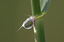 BUITEN BEELD Foto: 110250