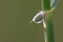 BUITEN BEELD Foto: 110252